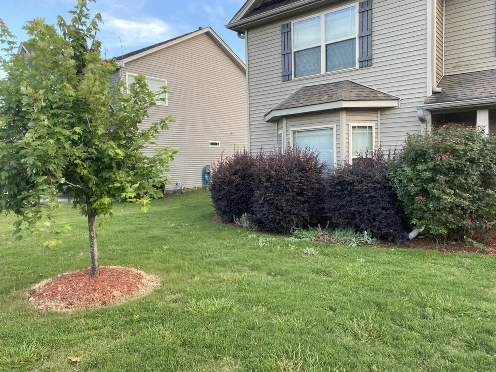 Custom landscape design for outdoor upgrades across Simpsonville, SC - TruScape