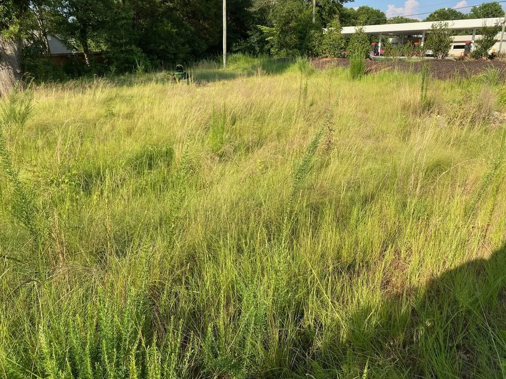 Affordable residential landscaping near you in Simpsonville, SC by TruScape