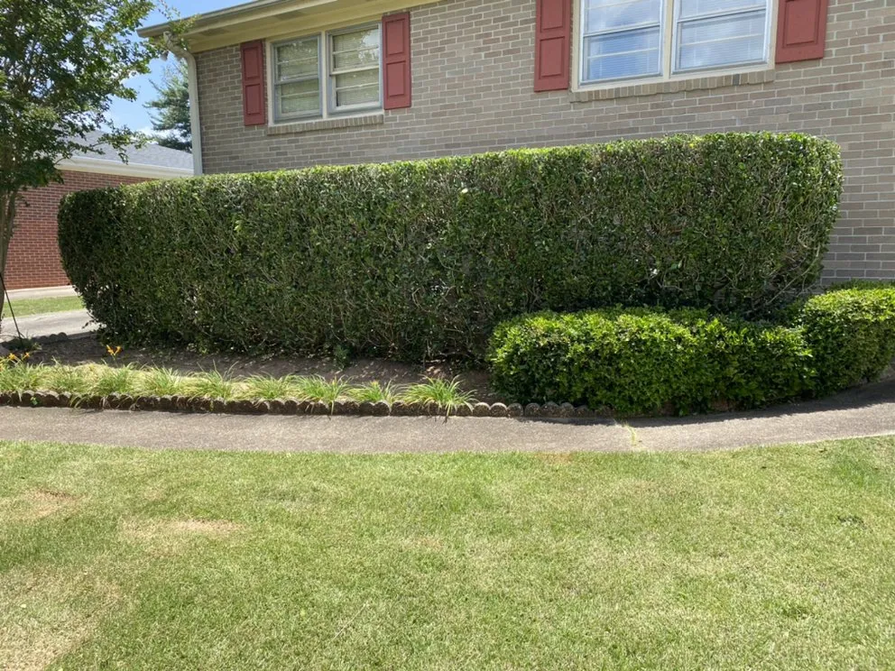 Top-rated residential landscaping with custom design across Simpsonville, SC - TruScape