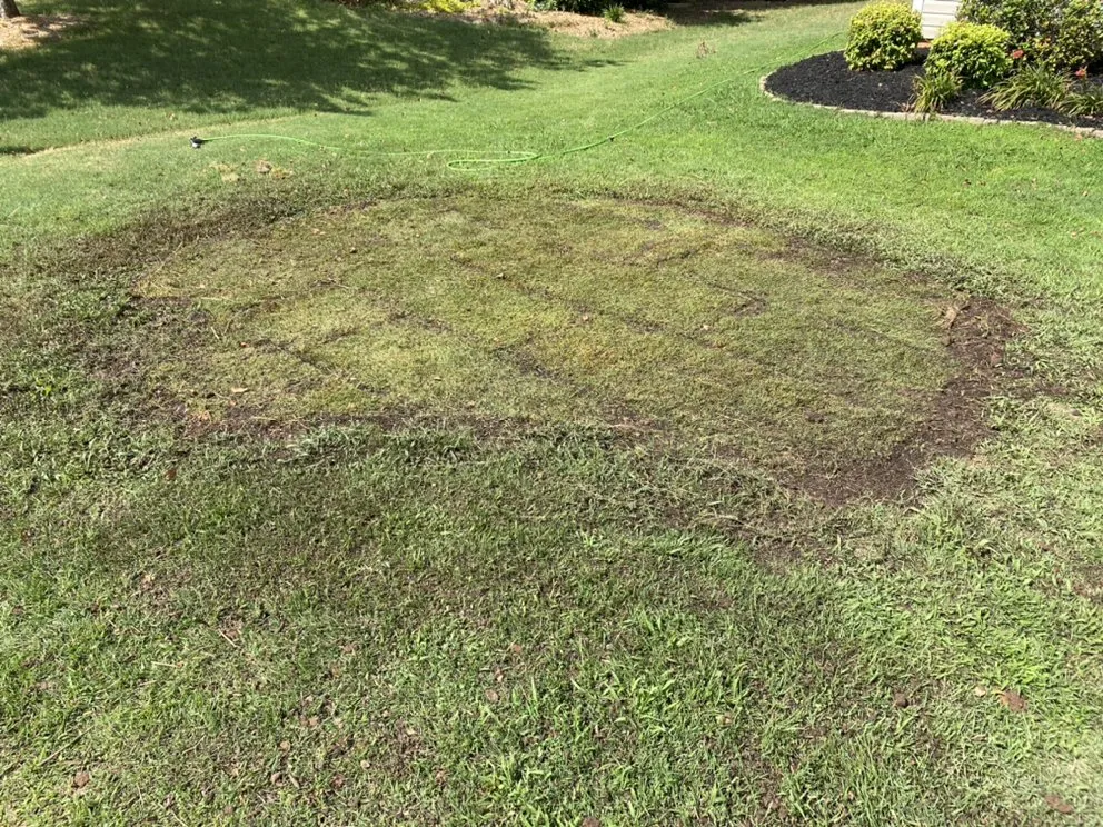 Affordable yard maintenance in Simpsonville, SC - TruScape