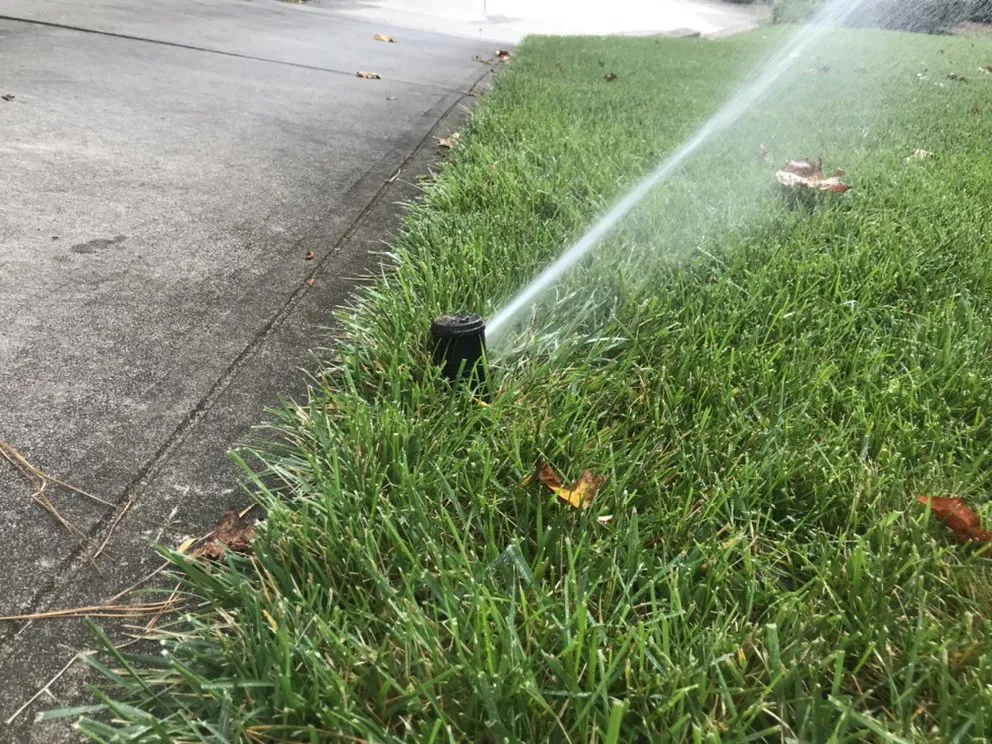 Reliable yard maintenance experts serving Belmont, NC - Truscapes