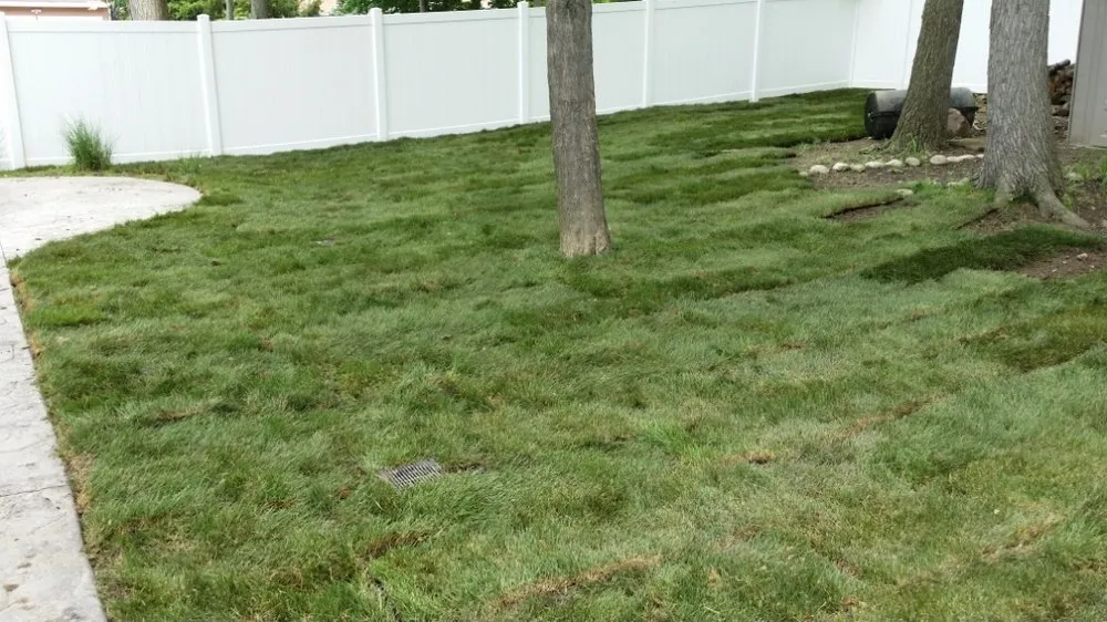 Top-rated lawn mowing service in Geneva, OH - Truscapes