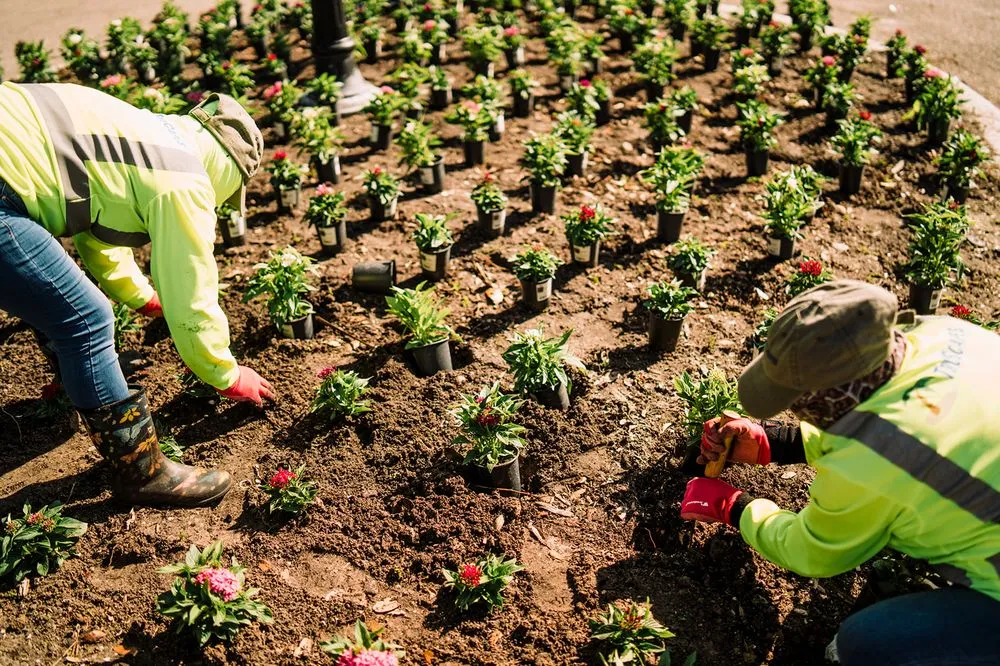 Affordable landscape installation for outdoor upgrades in Bradenton, FL by Truscapes Industries