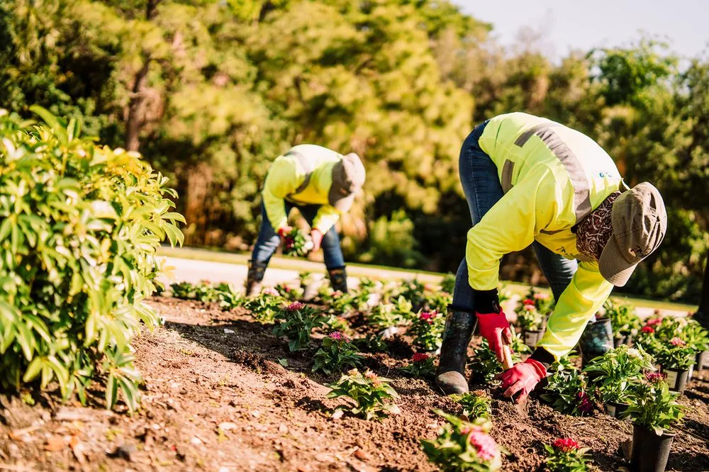 Affordable yard cleanup service experts serving Bradenton, FL - Truscapes Industries