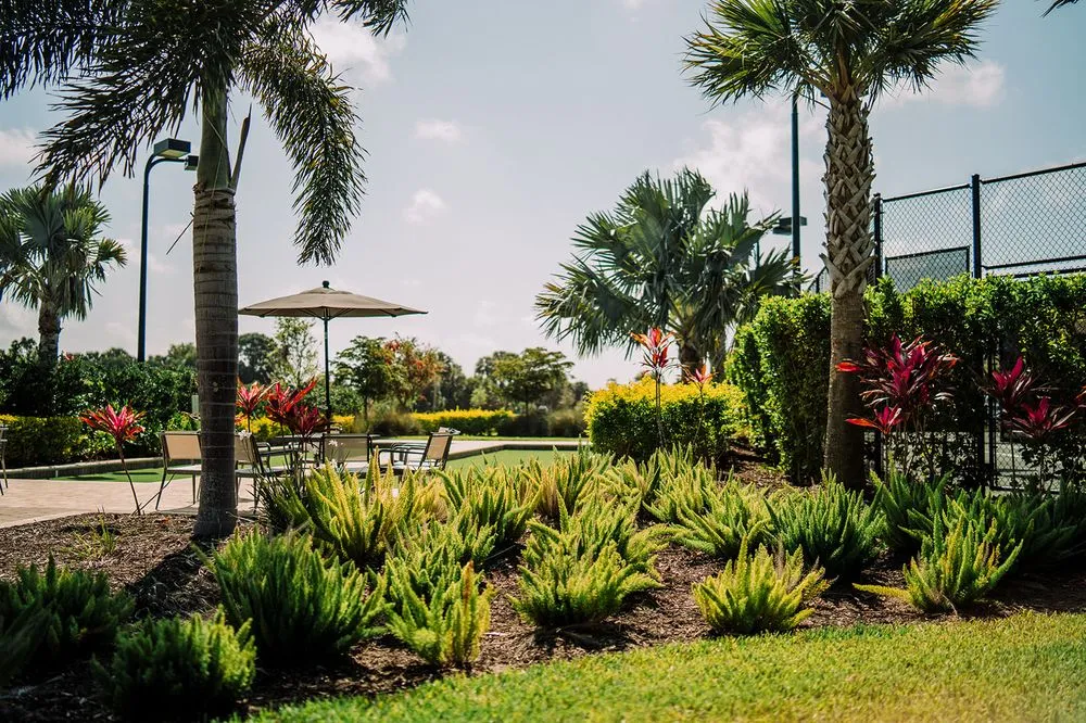 Trusted yard cleanup service near you across Bradenton, FL - Truscapes Industries