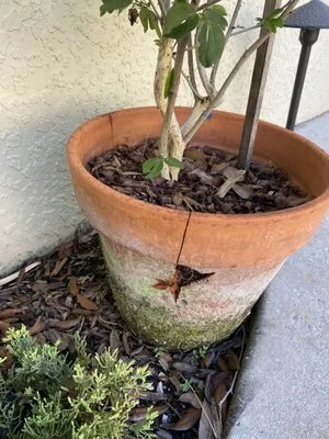 Truscapes Industries Logo