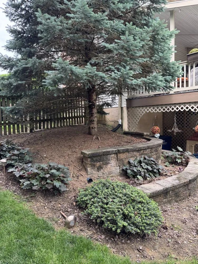 Trusted lawn care service in Mechanicsburg, PA - Truscaping LLC