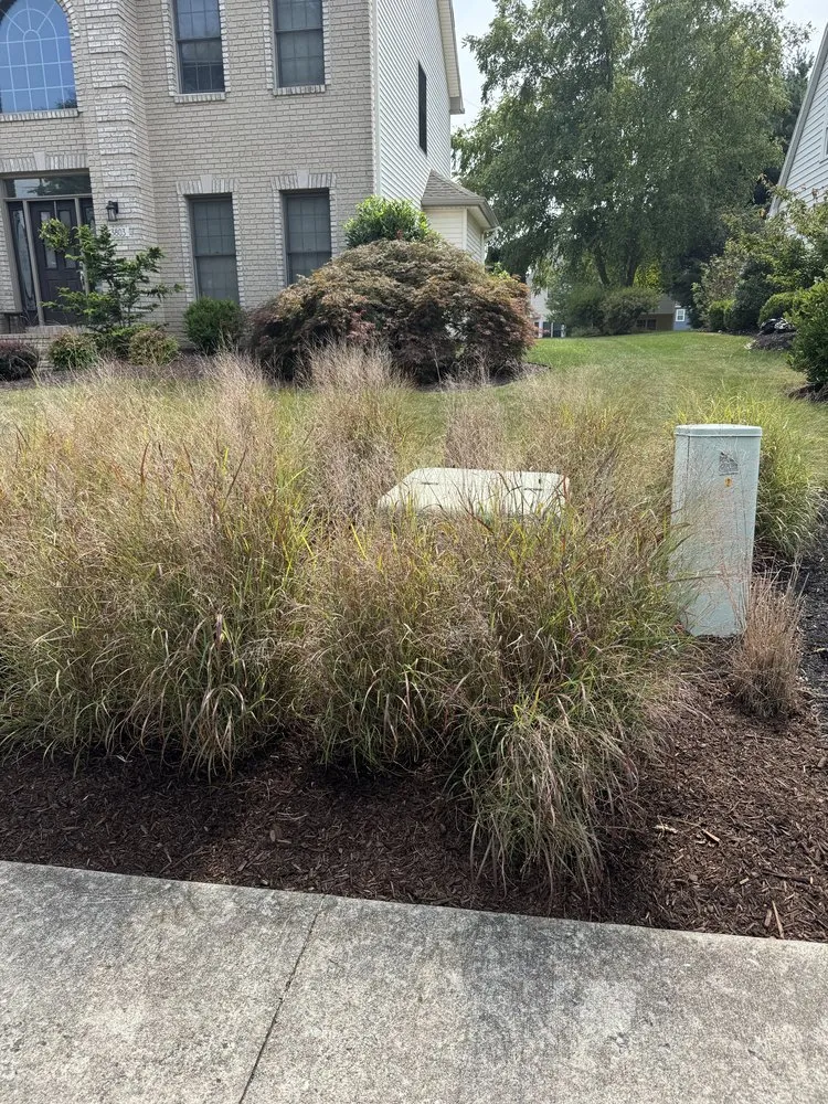 Affordable landscape design in Mechanicsburg, PA - Truscaping LLC