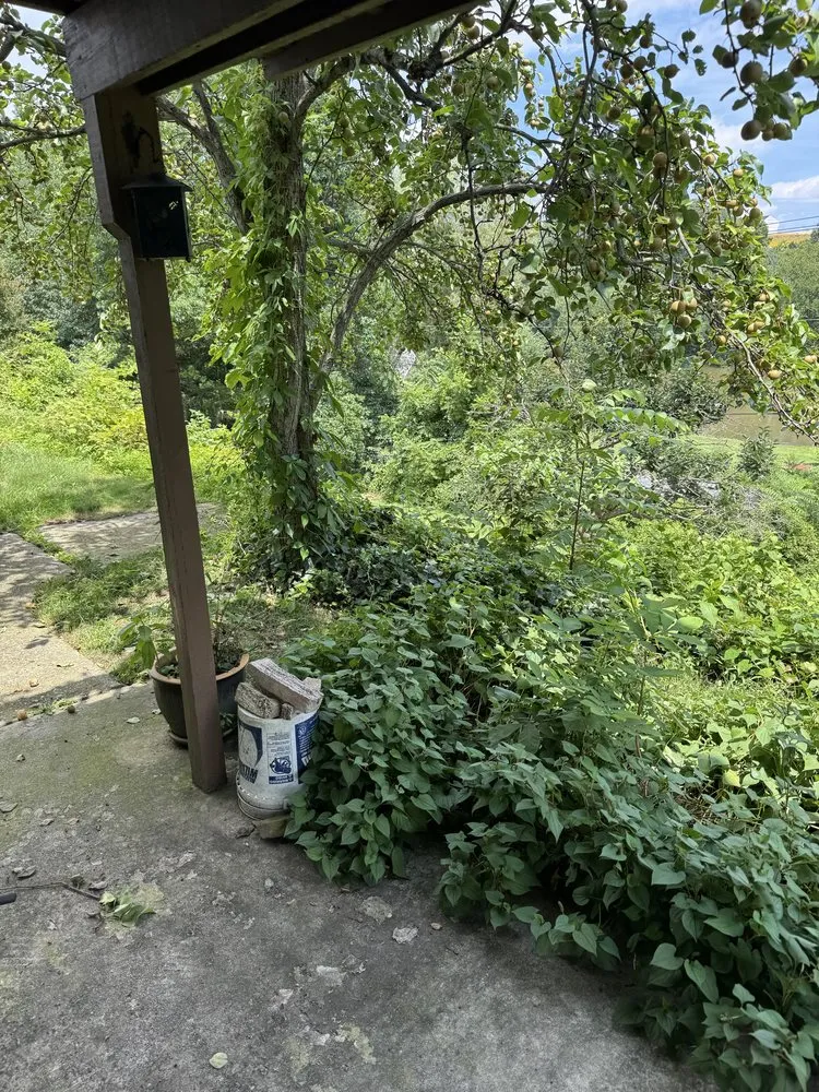 Expert landscaping services with custom design in Mechanicsburg, PA by Truscaping LLC