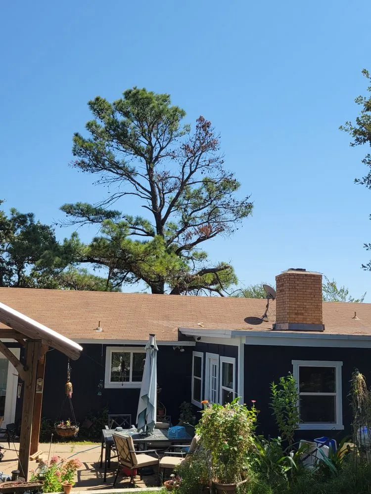 Affordable yard cleanup service experts serving Alvarado, TX - Trussell's Tree Service