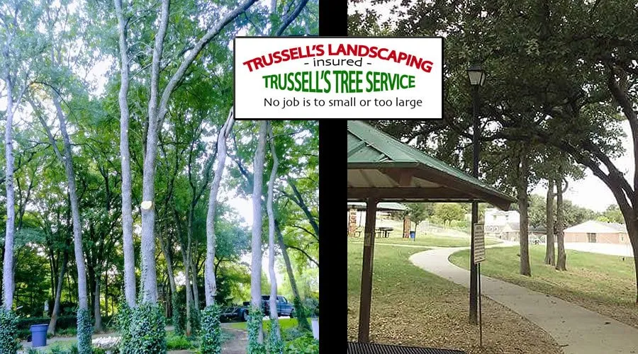 Top-rated lawn mowing service in Alvarado, TX - Trussell's Tree Service