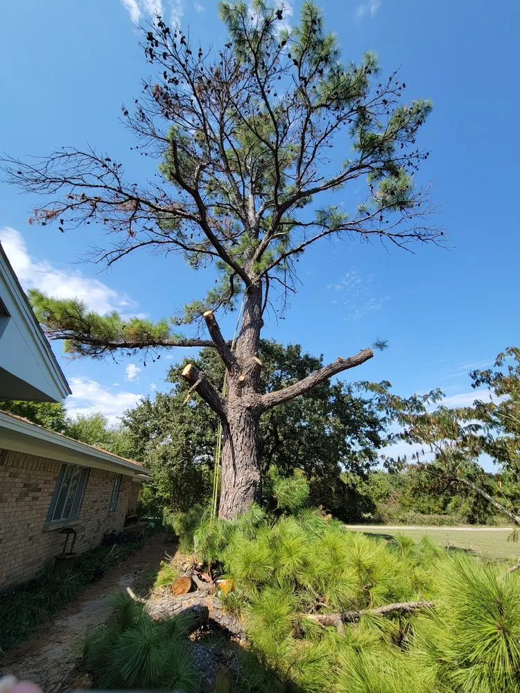 Expert landscaping services for outdoor upgrades in Alvarado, TX by Trussell's Tree Service
