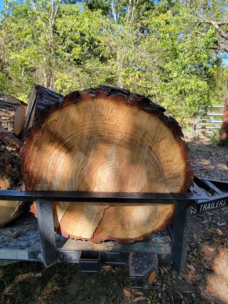 Trusted yard maintenance experts serving Alvarado, TX - Trussell's Tree Service