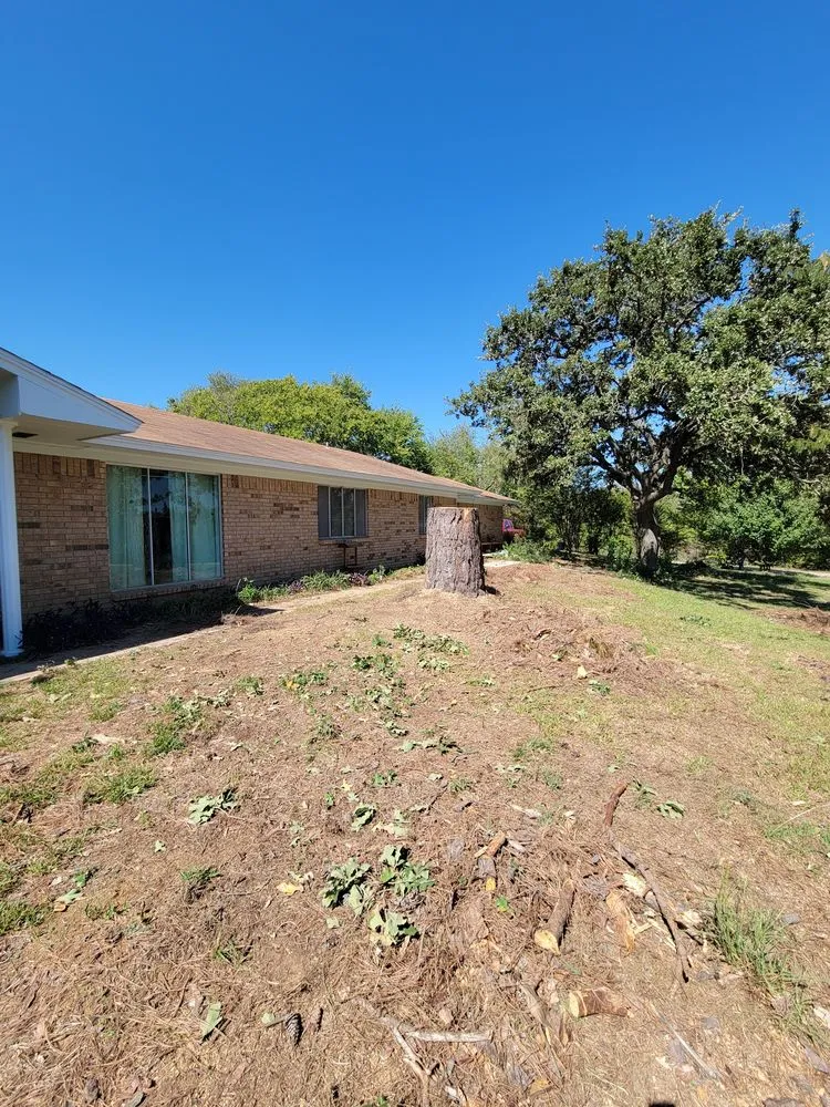 Custom garden landscaping experts serving Alvarado, TX - Trussell's Tree Service