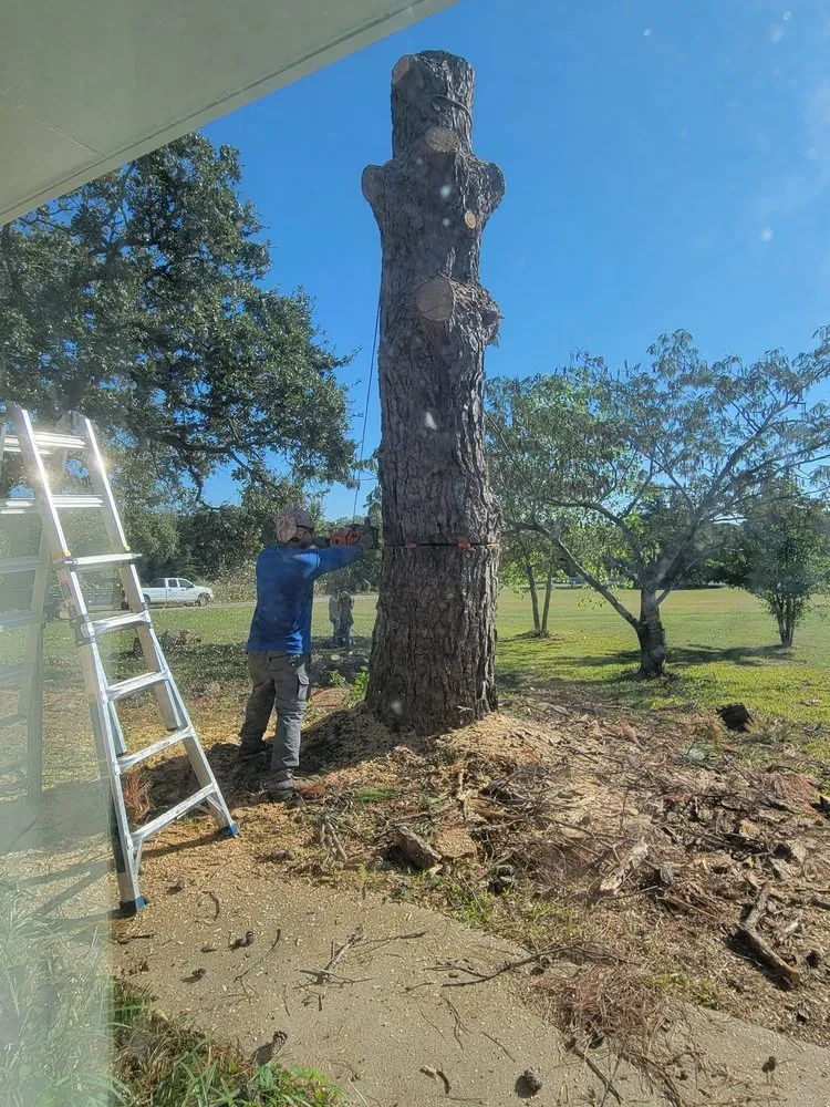 Affordable lawn care service experts serving Alvarado, TX - Trussell's Tree Service