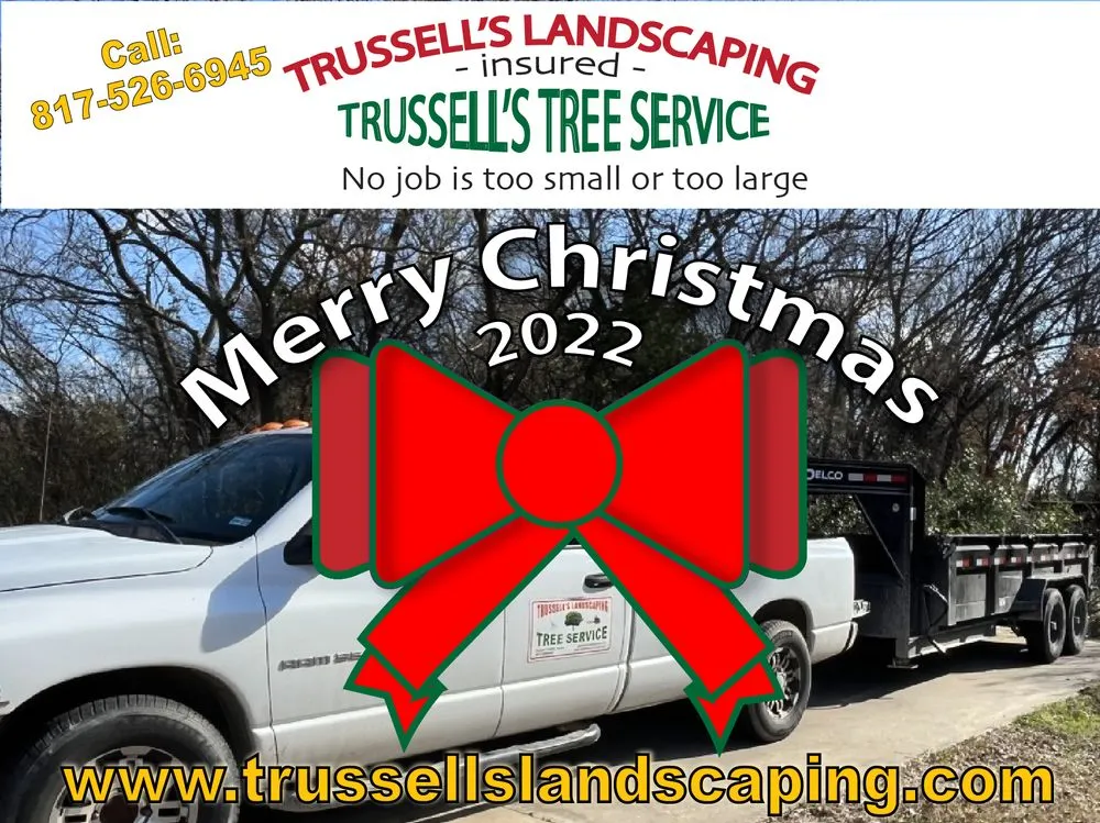 Top-rated yard cleanup service experts serving Alvarado, TX - Trussell's Tree Service