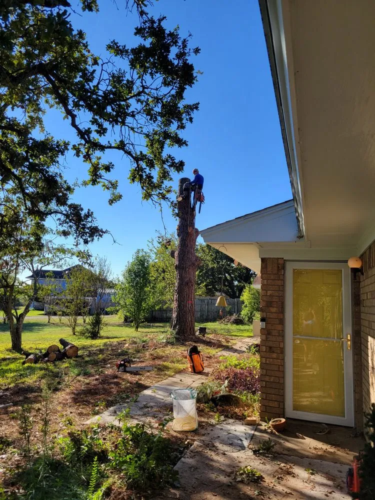 Local yard cleanup service experts serving Alvarado, TX - Trussell's Tree Service