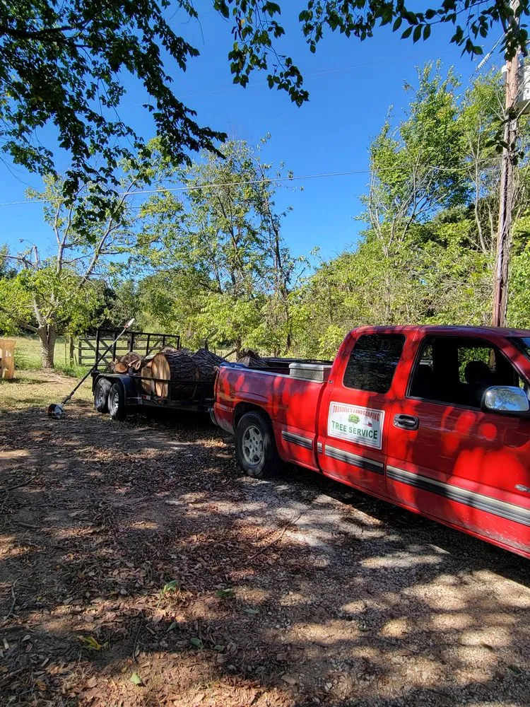 Reliable residential landscaping experts serving Alvarado, TX - Trussell's Tree Service