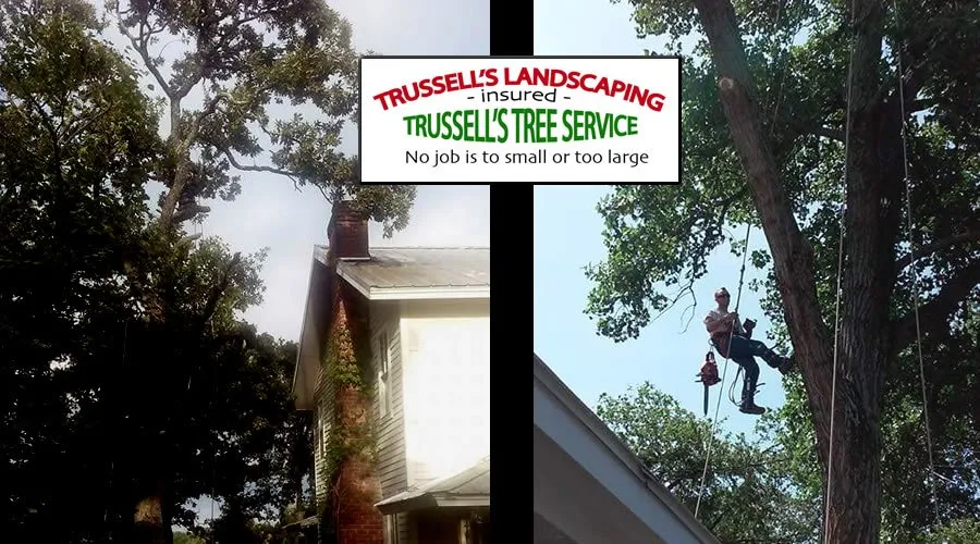 Custom lawn care service for beautiful yards across Alvarado, TX - Trussell's Tree Service