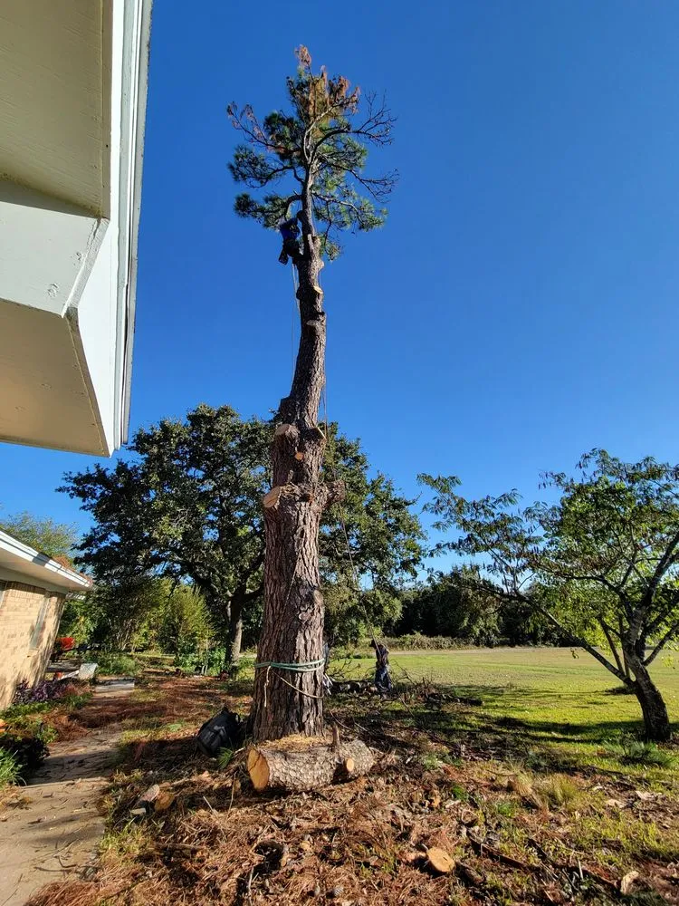 Custom garden landscaping for outdoor upgrades in Alvarado, TX by Trussell's Tree Service