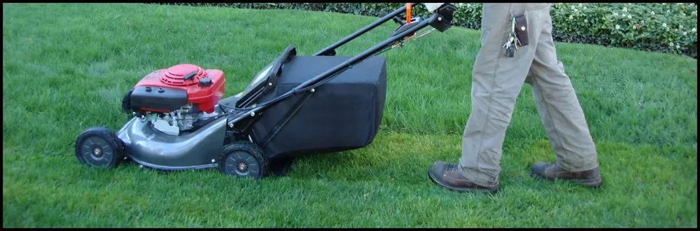 Trusted lawn mowing service experts serving Spanish Fort, AL - Trust Hixon Dynasty Services