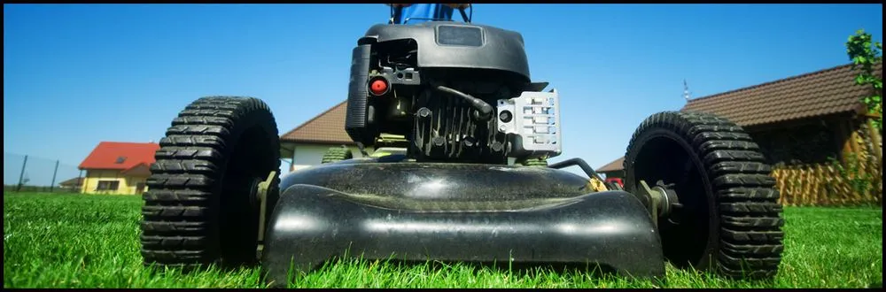 Professional yard cleanup service for homes in Spanish Fort, AL by Trust Hixon Dynasty Services