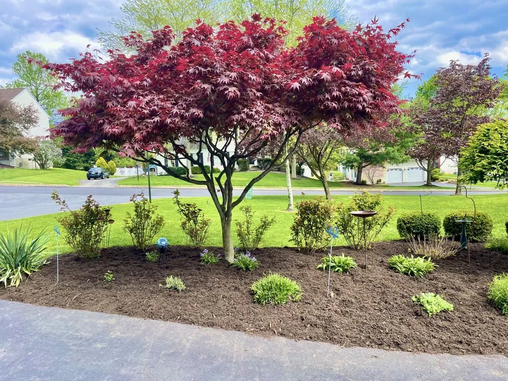 Expert residential landscaping for residential properties in Downingtown, PA by Trust Landscaping