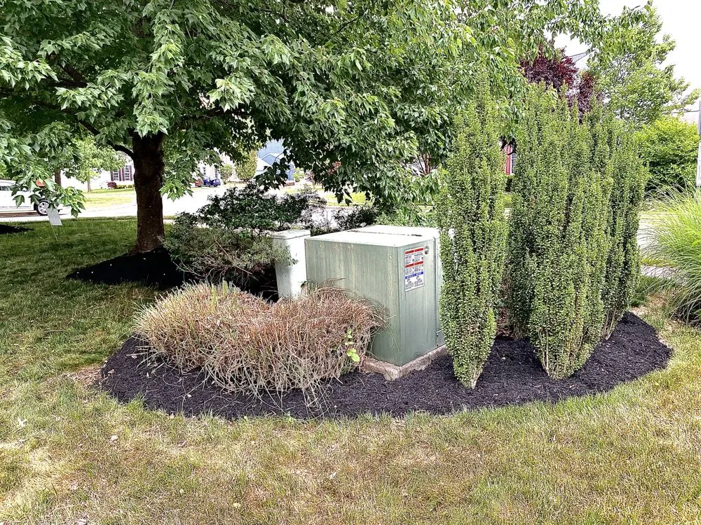 Custom lawn care service for beautiful yards in Downingtown, PA by Trust Landscaping