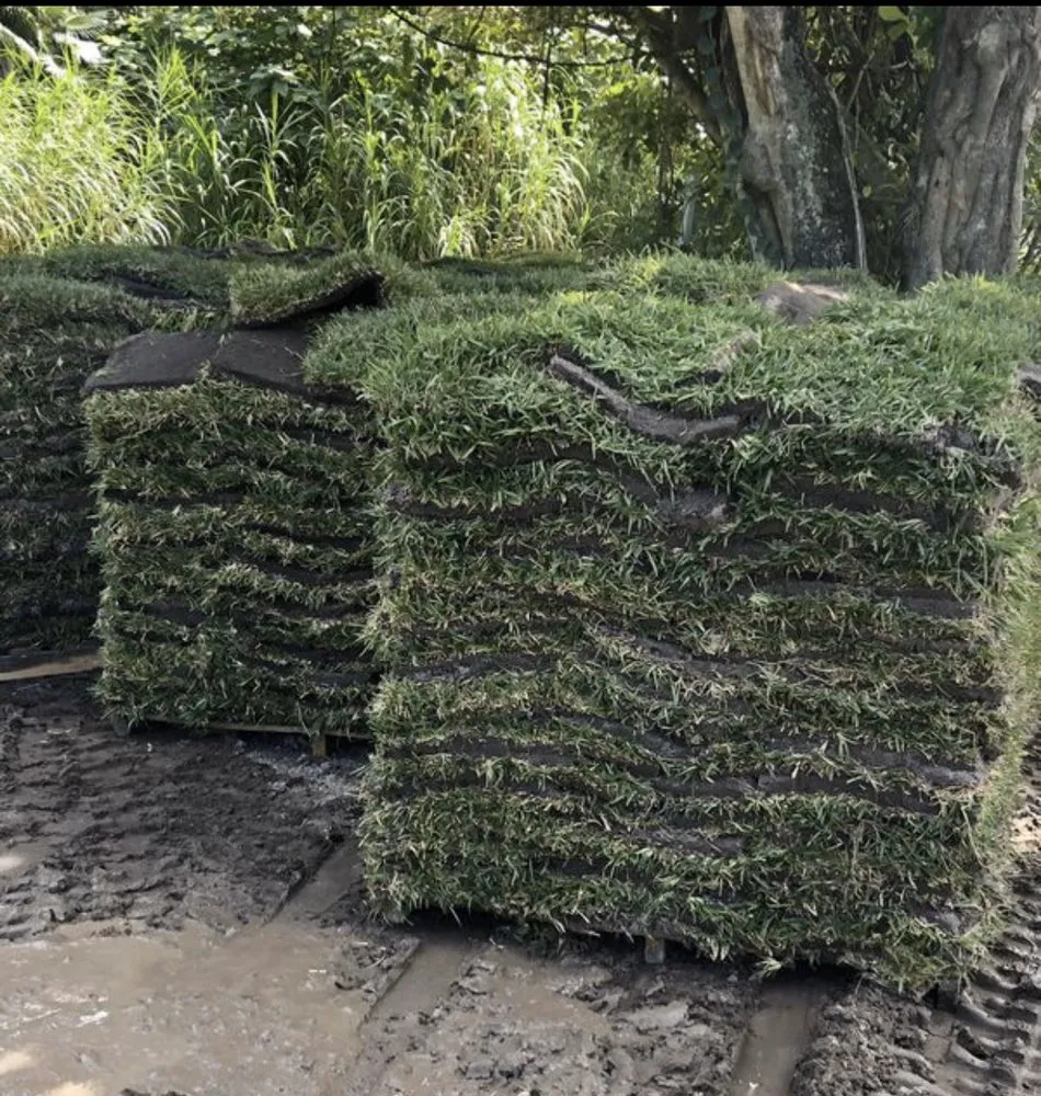 Top-rated landscape design for year-round maintenance across Miami, FL - Trust Lawn & Landscape