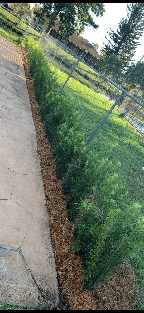 Reliable outdoor landscaping in Miami, FL by Trust Lawn & Landscape