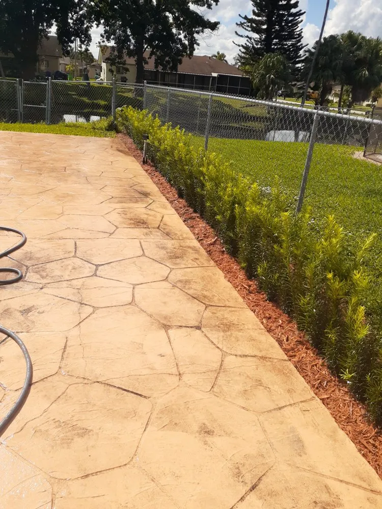 Local landscape design experts serving Miami, FL - Trust Lawn & Landscape