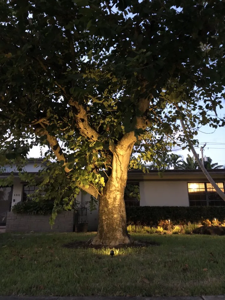 Top-rated residential landscaping in Miami, FL by Trust Lawn & Landscape