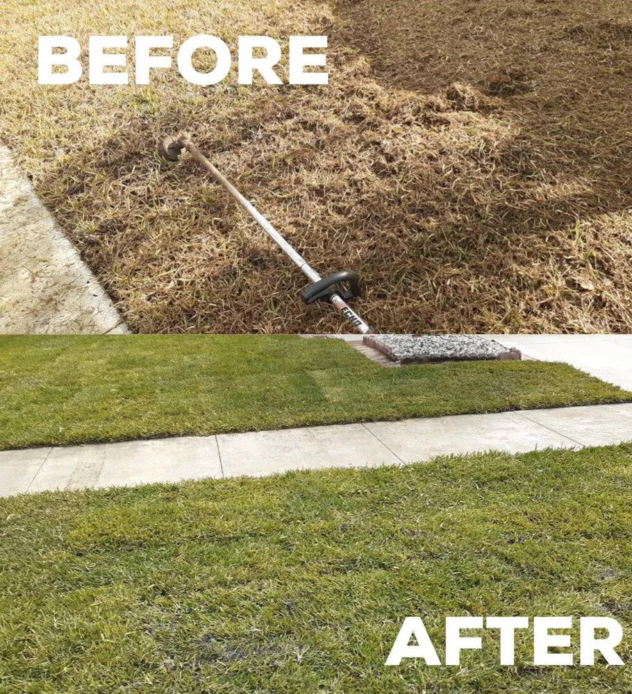 Affordable yard cleanup service in Miami, FL - Trust Lawn & Landscape