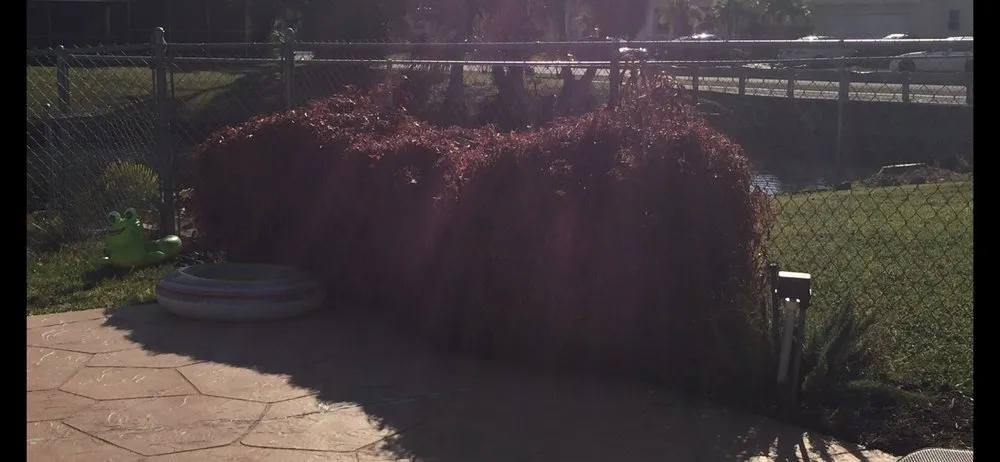 Affordable garden landscaping for outdoor upgrades in Miami, FL by Trust Lawn & Landscape