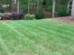 Professional landscape design for outdoor upgrades across Concord, NC - Trust Lawn Care