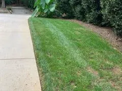 Local garden landscaping in Concord, NC by Trust Lawn Care