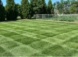 Professional yard maintenance experts serving Concord, NC - Trust Lawn Care