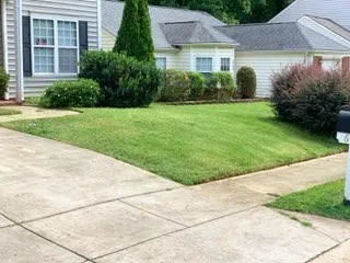 Reliable landscaping services experts serving Concord, NC - Trust Lawn Care