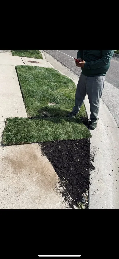 Reliable landscape design near you in Mission, KS by Trust Lawn Care