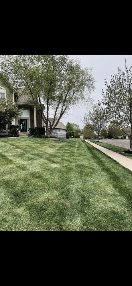 Reliable outdoor landscaping in Mission, KS by Trust Lawn Care