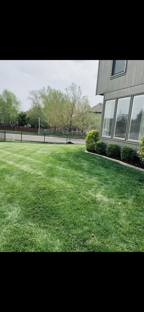 Expert yard cleanup service for residential properties across Mission, KS - Trust Lawn Care
