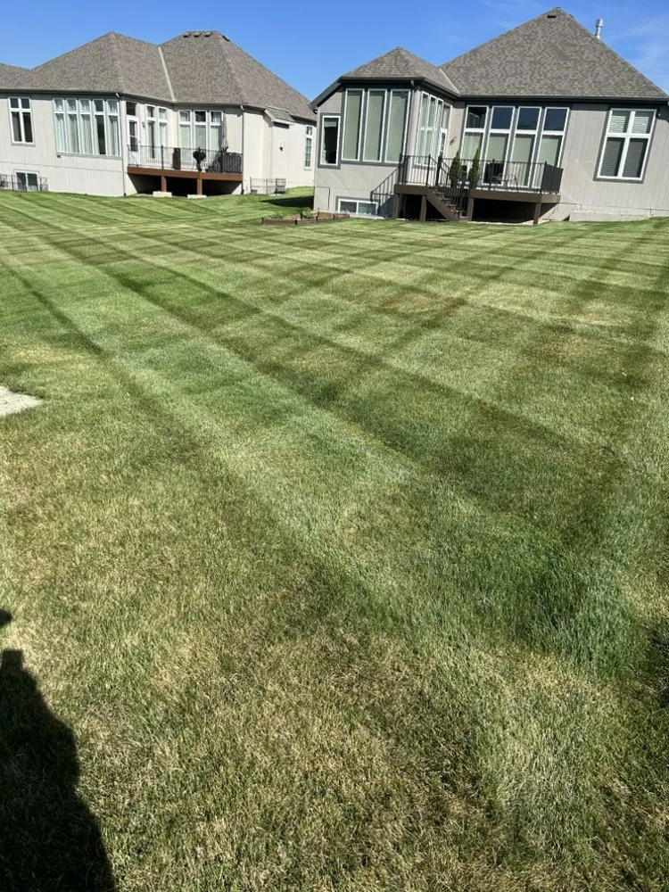Professional landscaping services near you in Mission, KS by Trust Lawn Care