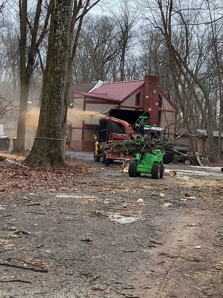 Trusted lawn mowing service in Philadelphia, PA by Trust Planet Tree Service & Landscaping