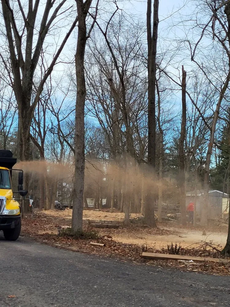 Professional landscaping services experts serving Philadelphia, PA - Trust Planet Tree Service & Landscaping