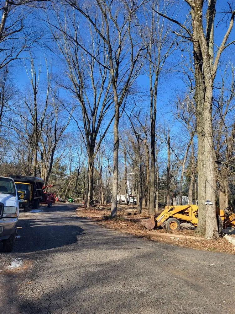 Affordable landscape design for homes across Philadelphia, PA - Trust Planet Tree Service & Landscaping