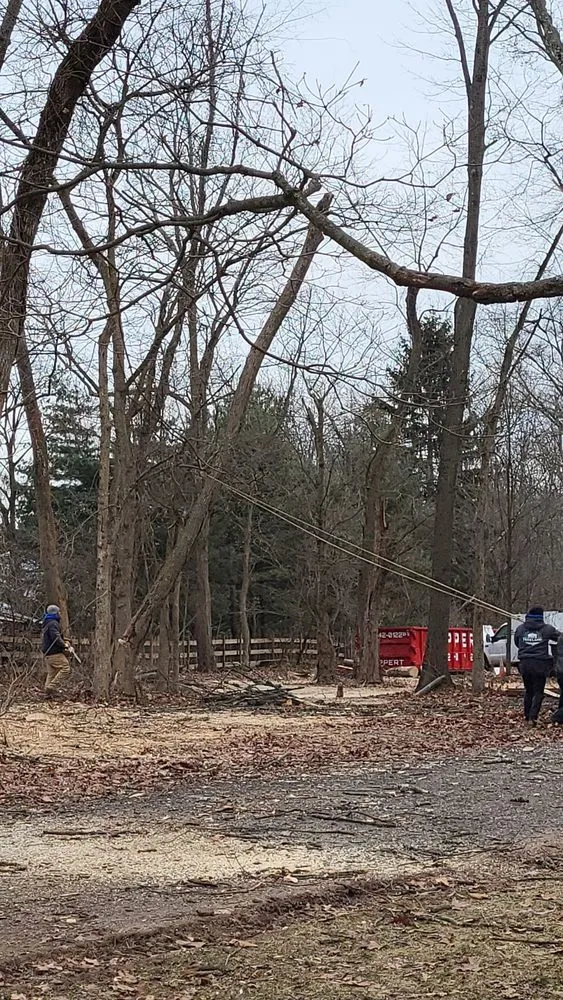 Trusted landscape design for outdoor upgrades in Philadelphia, PA by Trust Planet Tree Service & Landscaping