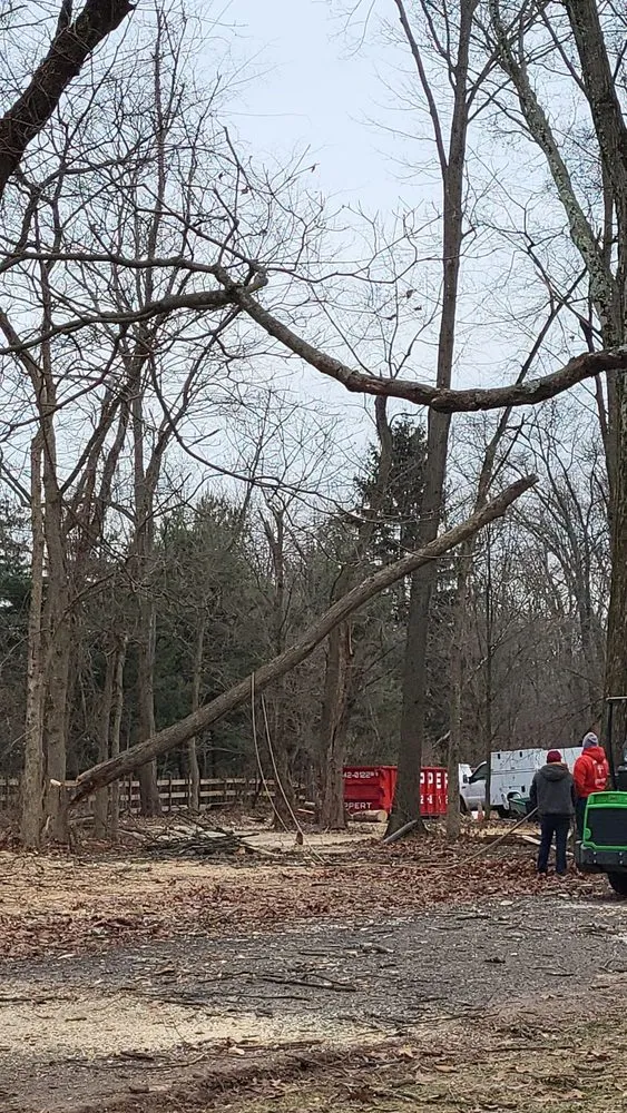 Local garden landscaping in Philadelphia, PA - Trust Planet Tree Service & Landscaping