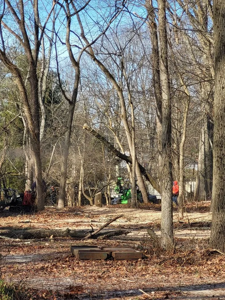 Affordable yard maintenance in Philadelphia, PA - Trust Planet Tree Service & Landscaping