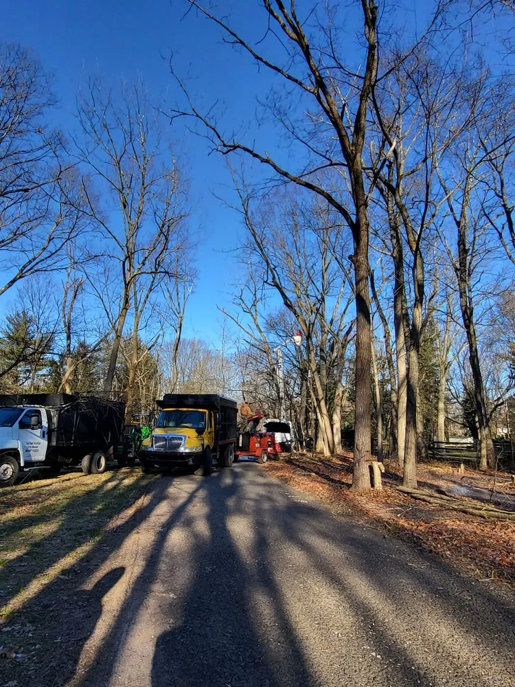 Trusted residential landscaping experts serving Philadelphia, PA - Trust Planet Tree Service & Landscaping