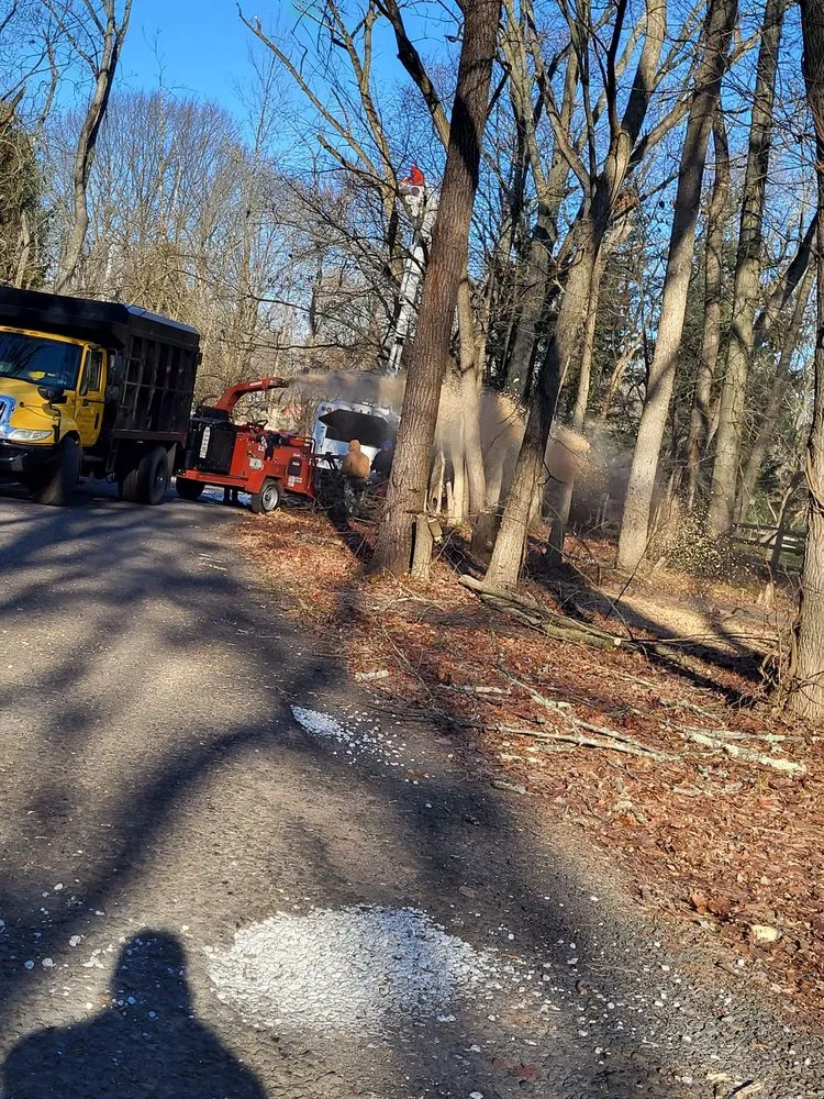 Trusted residential landscaping in Philadelphia, PA by Trust Planet Tree Service & Landscaping